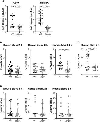 Pneumococcal BgaA Promotes Host Organ Bleeding and Coagulation in a Mouse Sepsis Model